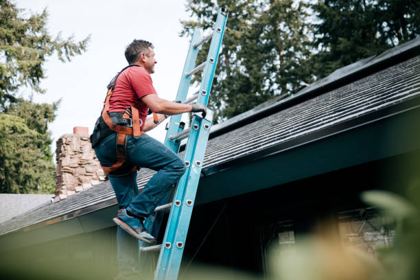 Professional Roofing Service in Nahunta, GA