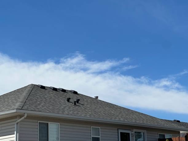 Best Solar Panel Roofing Installation  in Nahunta, GA
